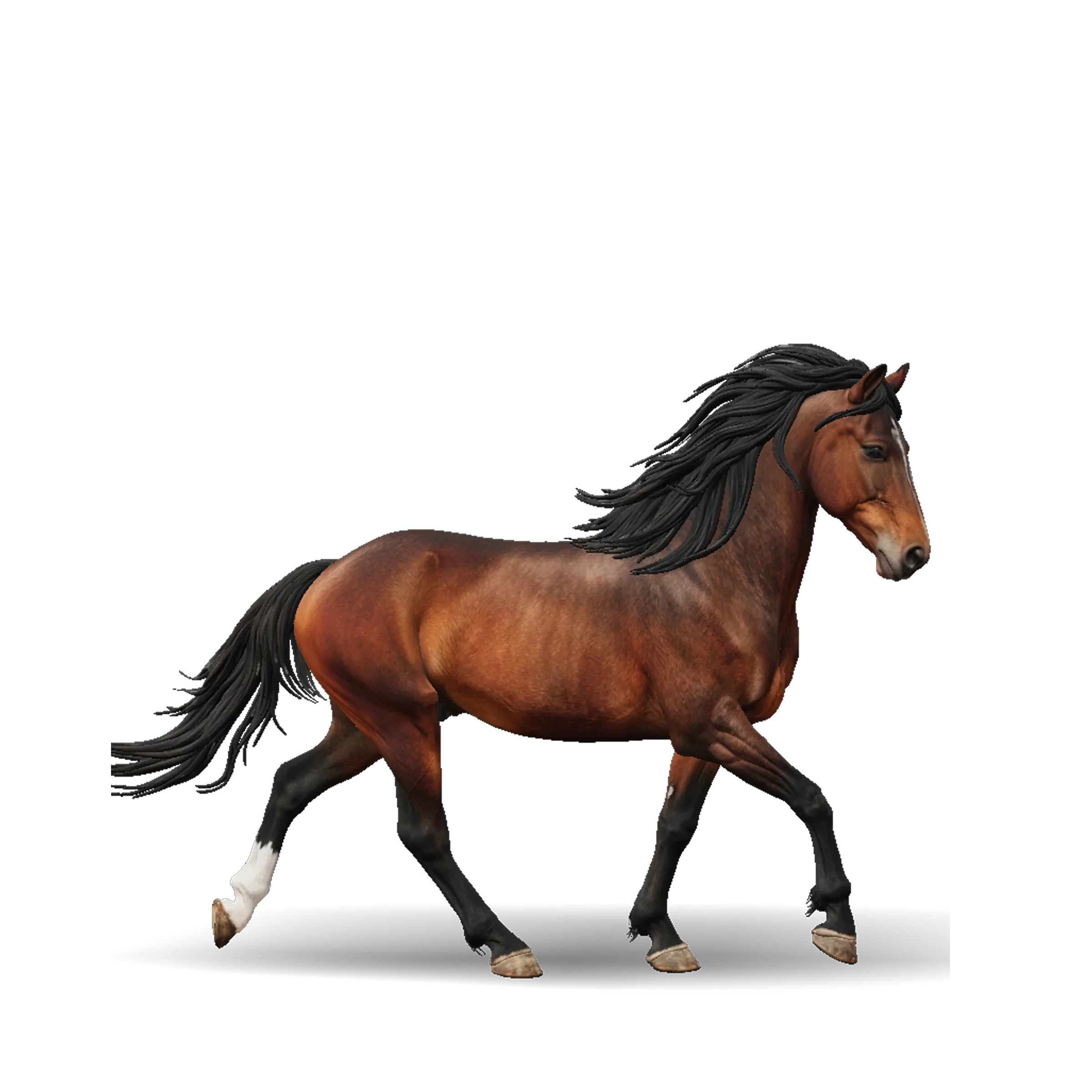Brown horse 3D model in motion, flowing black mane and tail with white sock markings