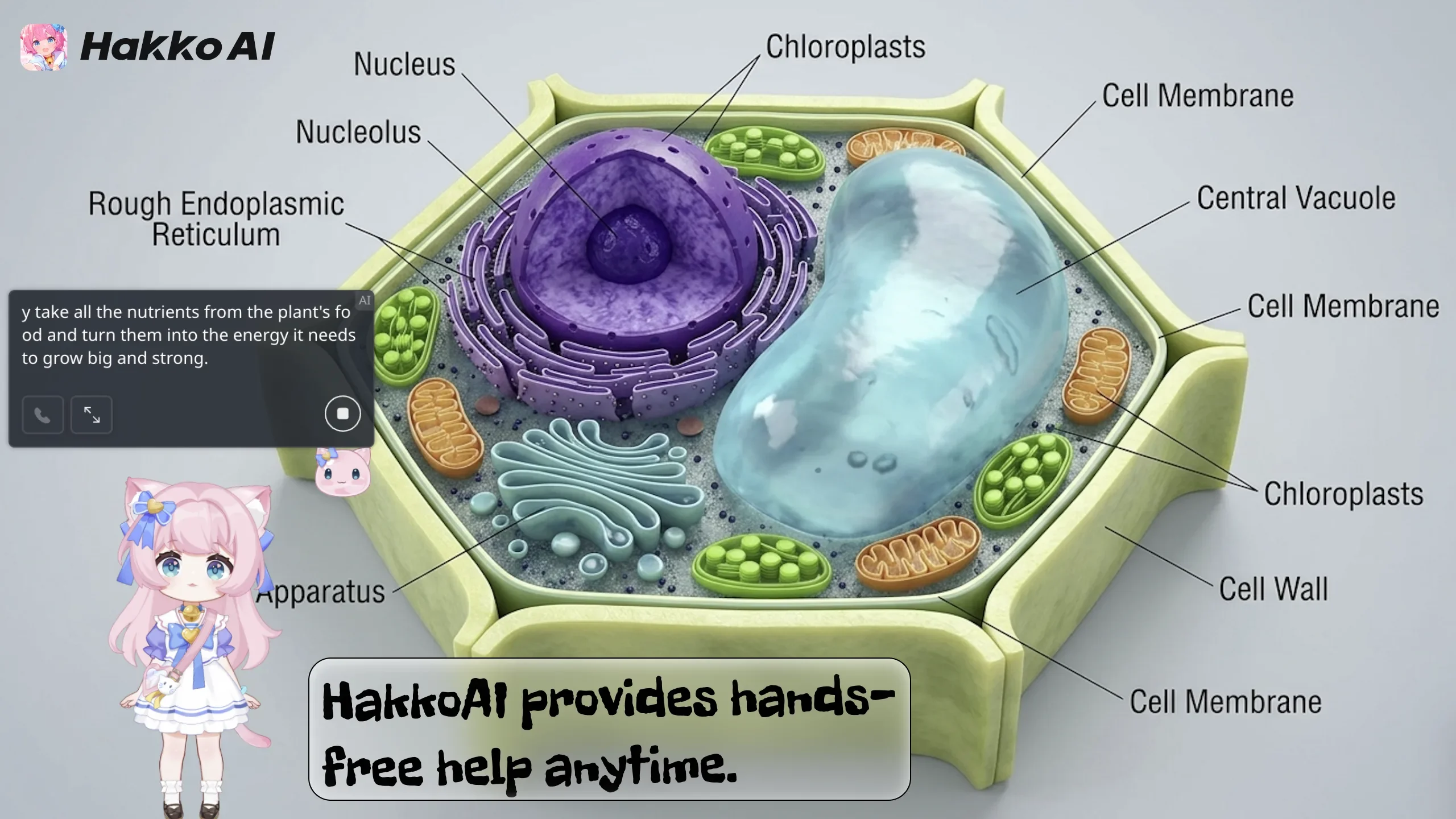 HakkoAI Provides handsfree help anytime