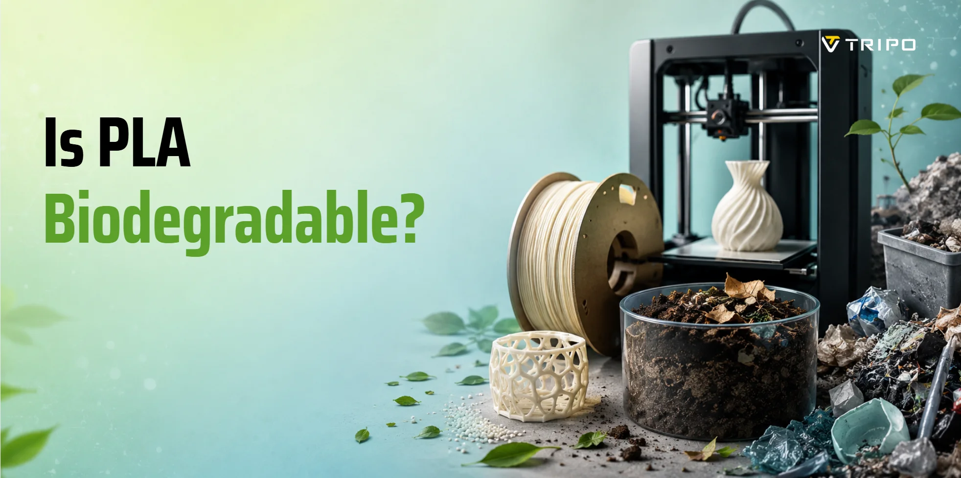 is-pla-biodegradable-article-cover