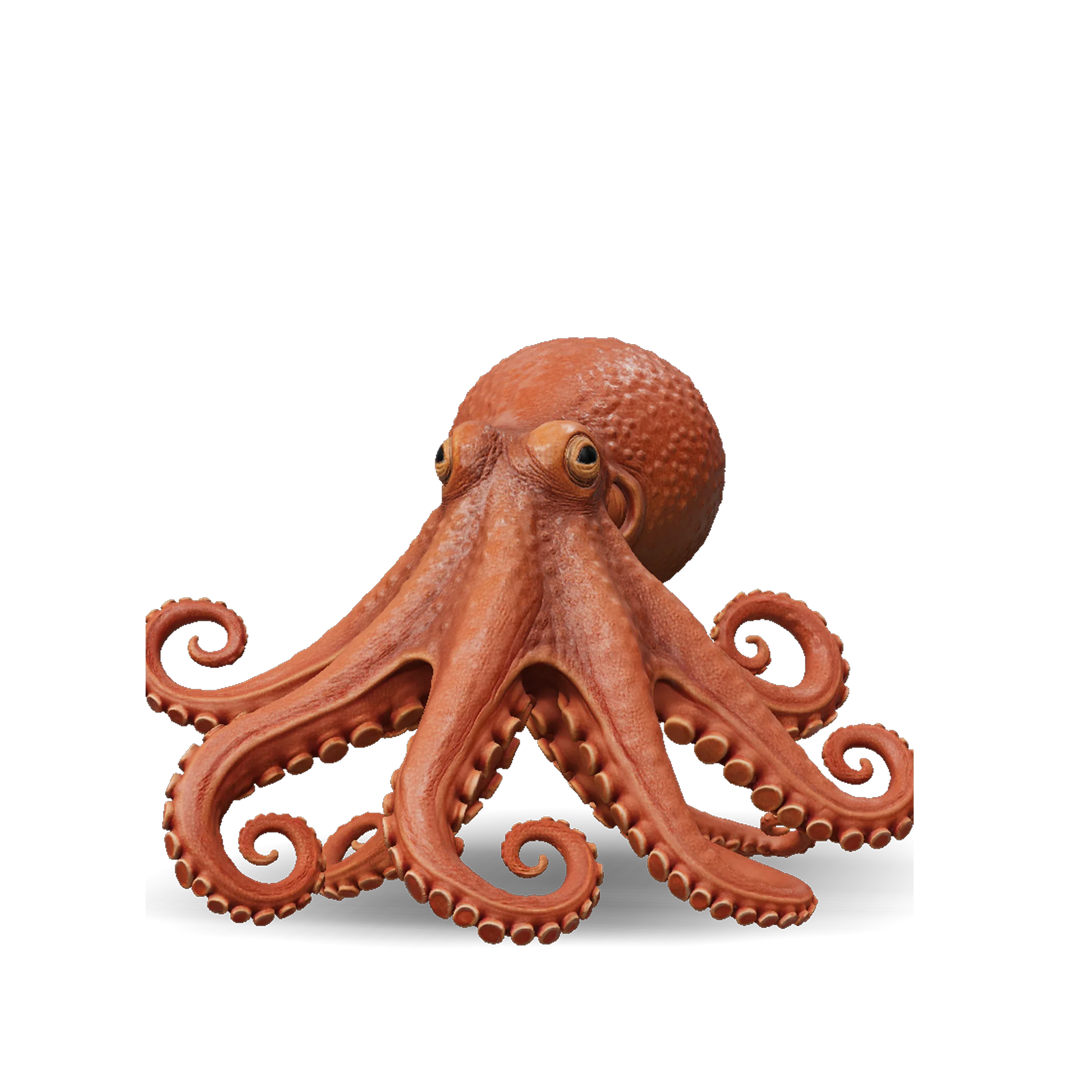 Octopus 3D model in orange-brown with curled tentacles and textured skin, from Tripo AI