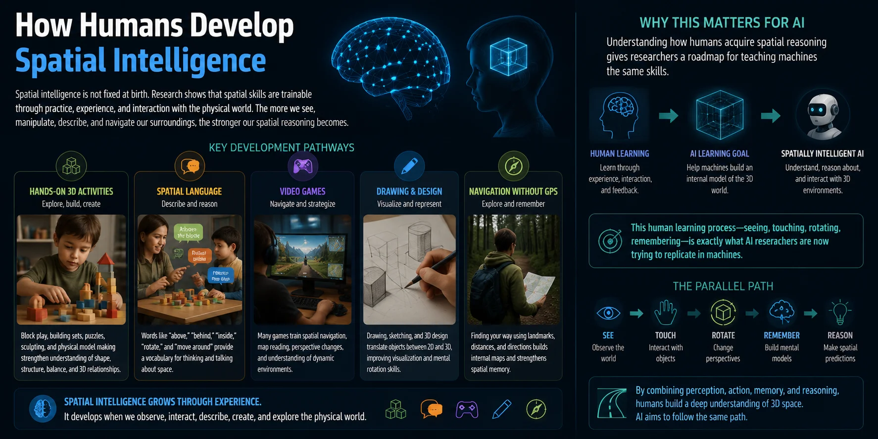 how humans develop spatial intelligence